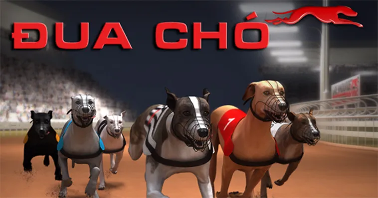 Bí Quyết Chơi Đua Chó SunWin Thắng Lớn Từ Cao Thủ Hàng Đầu